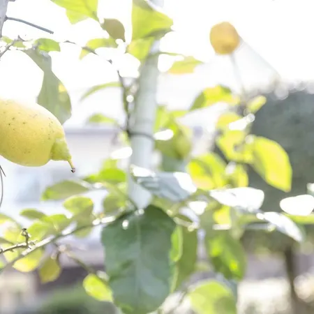 Federica * Milano Marittima