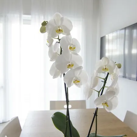 Federica Milano Marittima