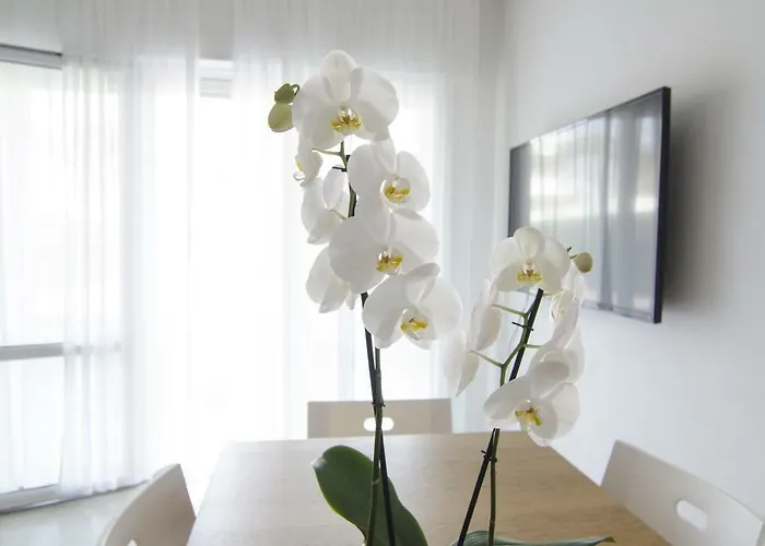 Federica Milano Marittima