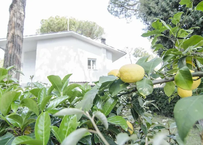 Federica * Milano Marittima